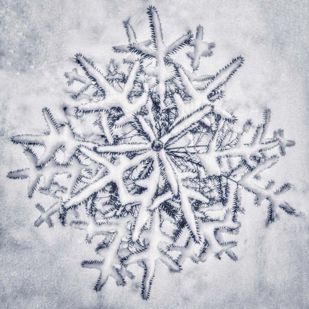 Photograph by Сергей Назаредский