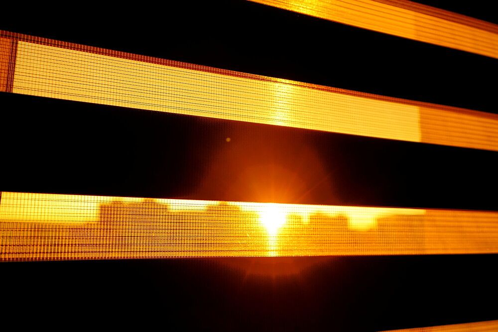 Фотография автора Sergej Roor