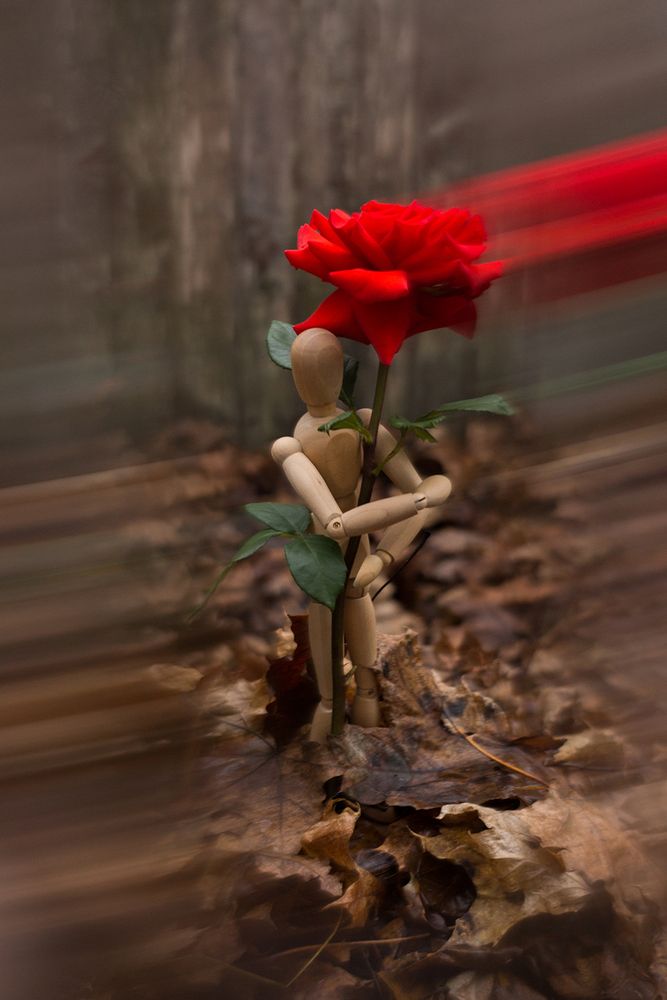 Photograph by Rimma Larkina