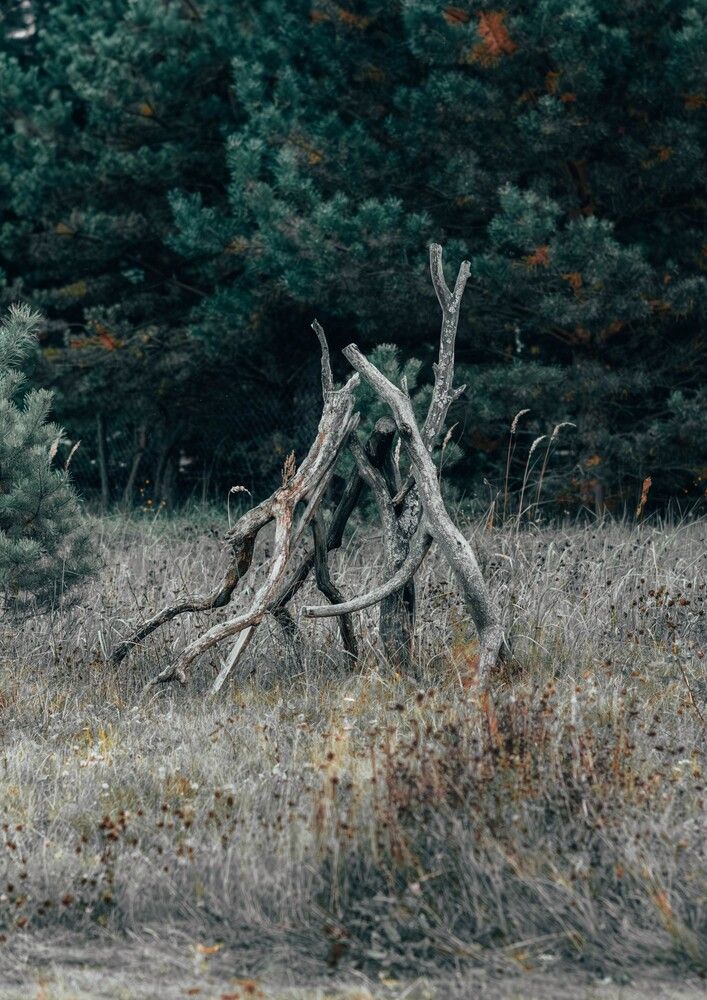 Фотография автора Алина Руденко