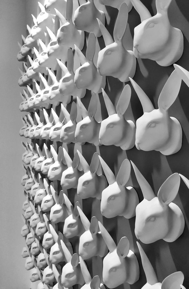 Фотография автора Ekaterina Biserova