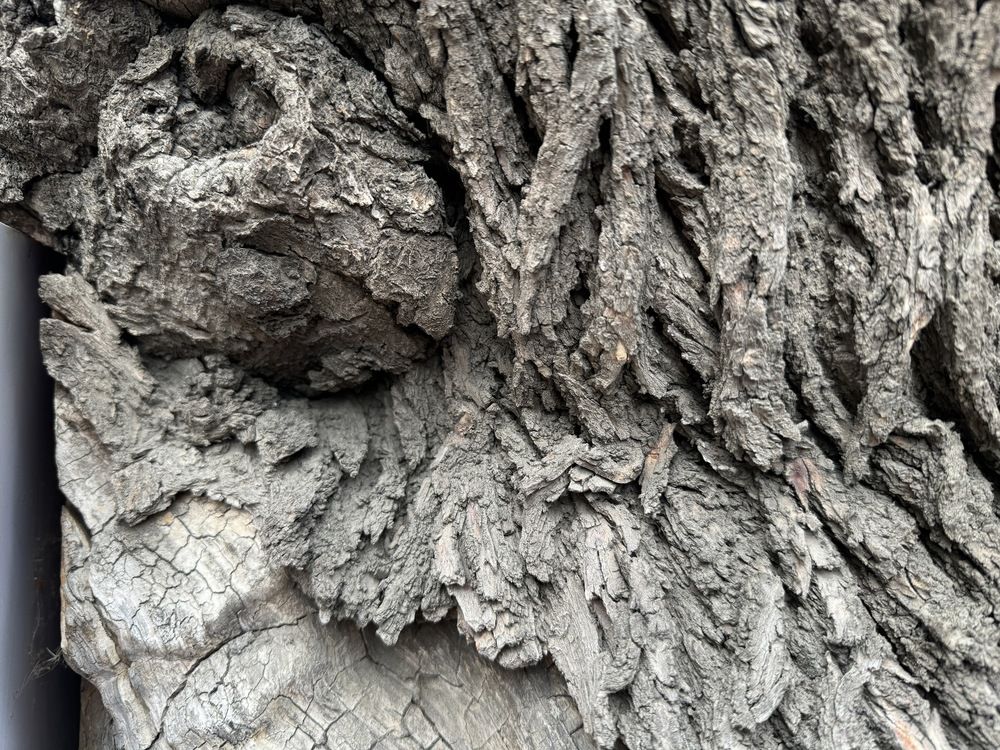 Photograph by Сергей Смирнов