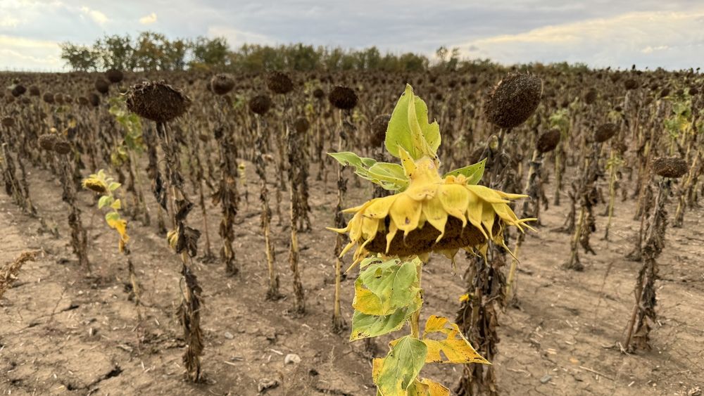 Photograph by Сергей Смирнов