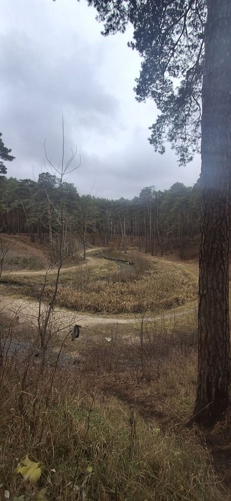 Photograph by Елена Мусина