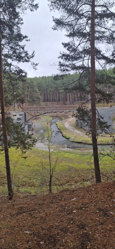 Photograph by Елена Мусина