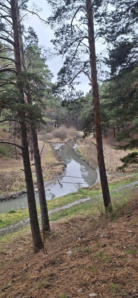 Фотография автора Елена Мусина