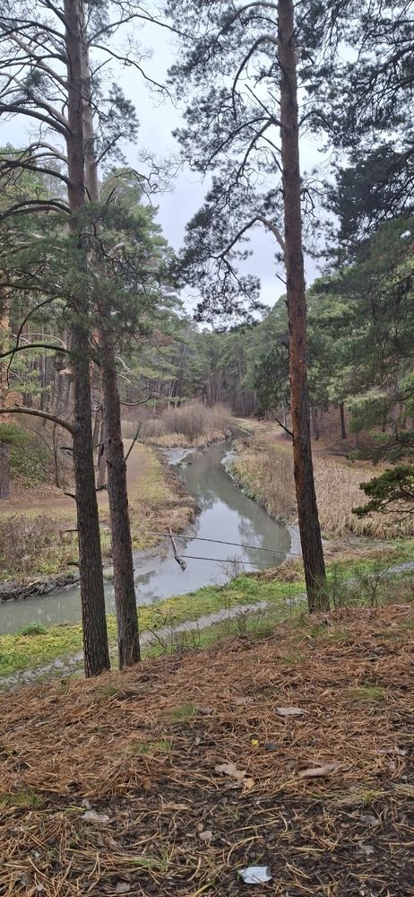 Photograph by Елена Мусина