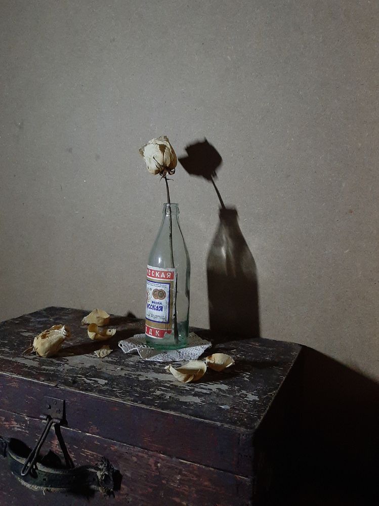 Фотография автора Анна Хмелькова