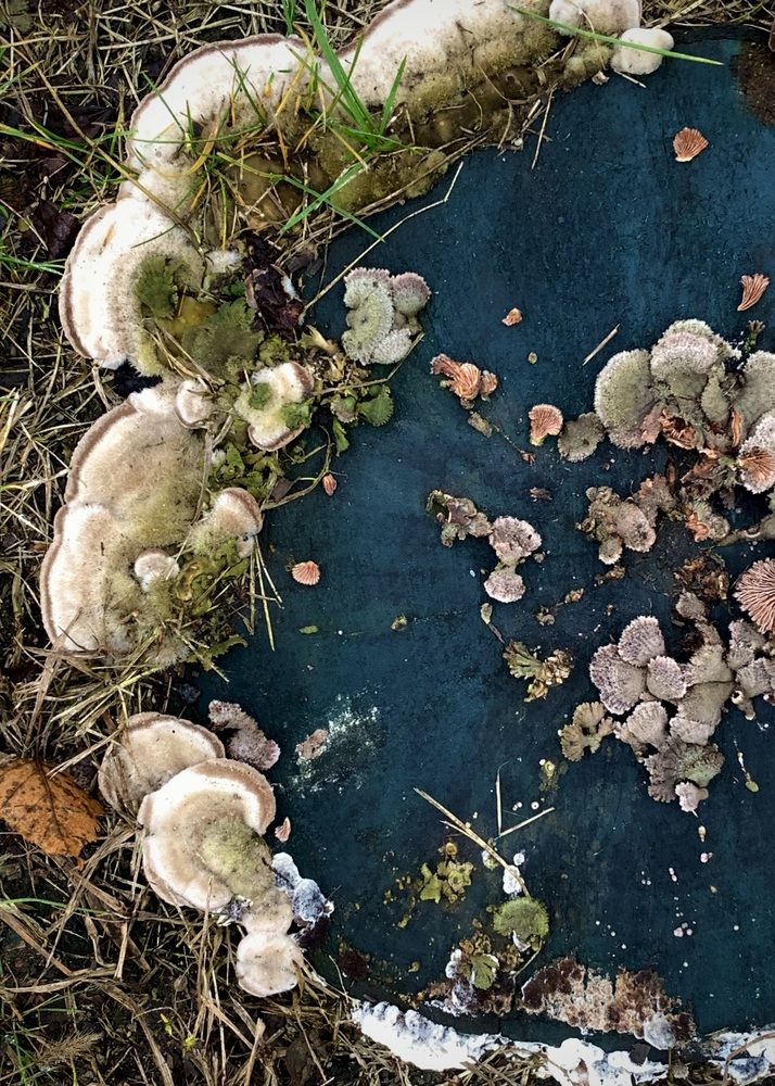 Photograph by Надежда Смирнова