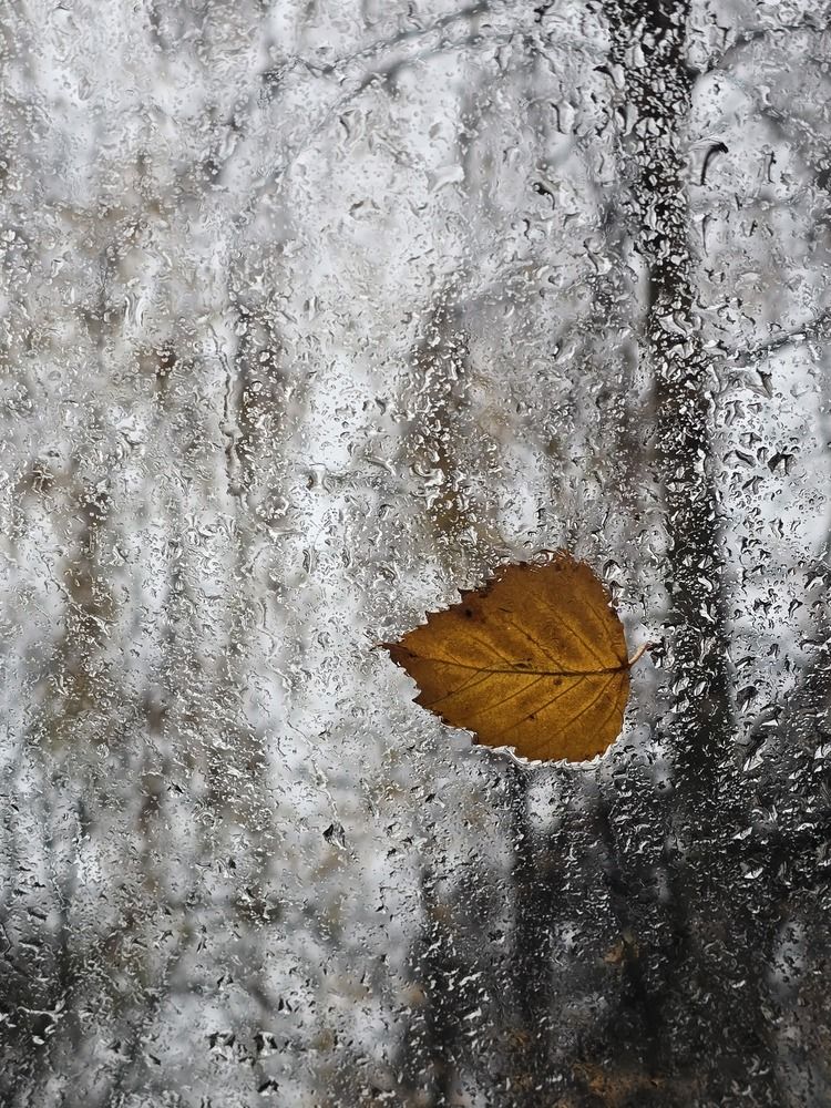 Photograph by Ирина Хлебникова