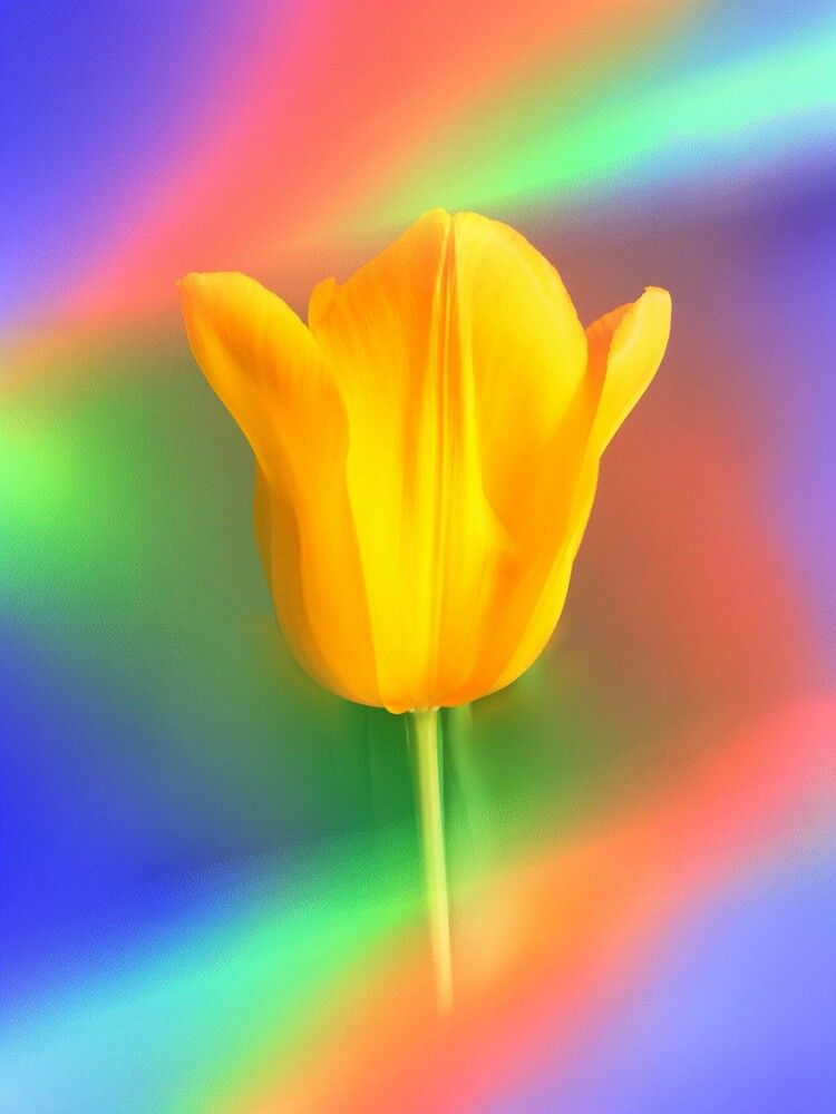 Photograph by Anila Ismailaj