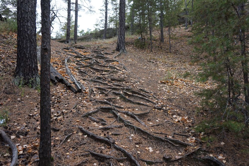 Photograph by Алия Байсыкова