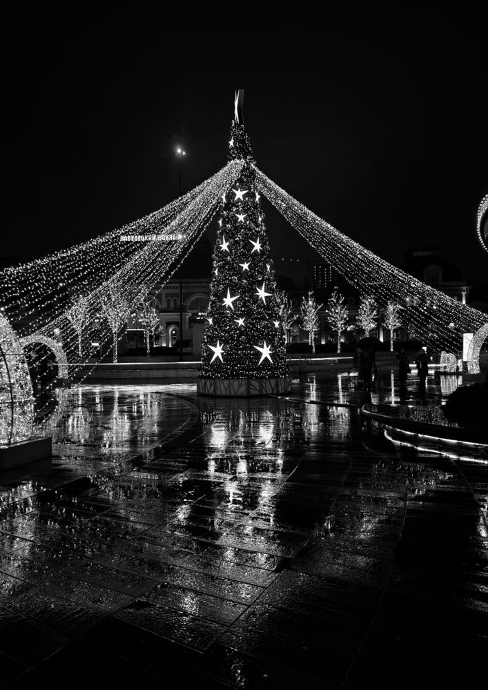 Photograph by Елена Шоколенко