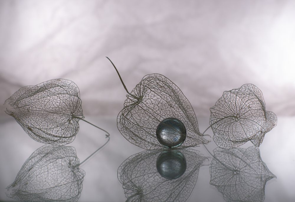 Фотография автора Обидина Мария