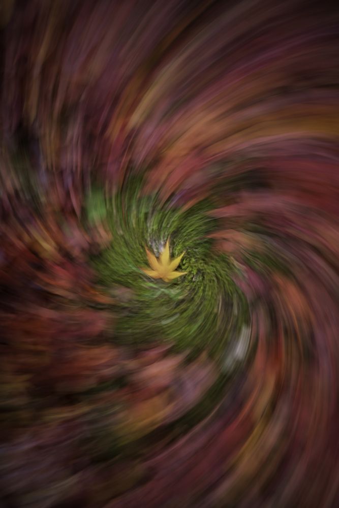 Photograph by Eduardo Fuster Salamero