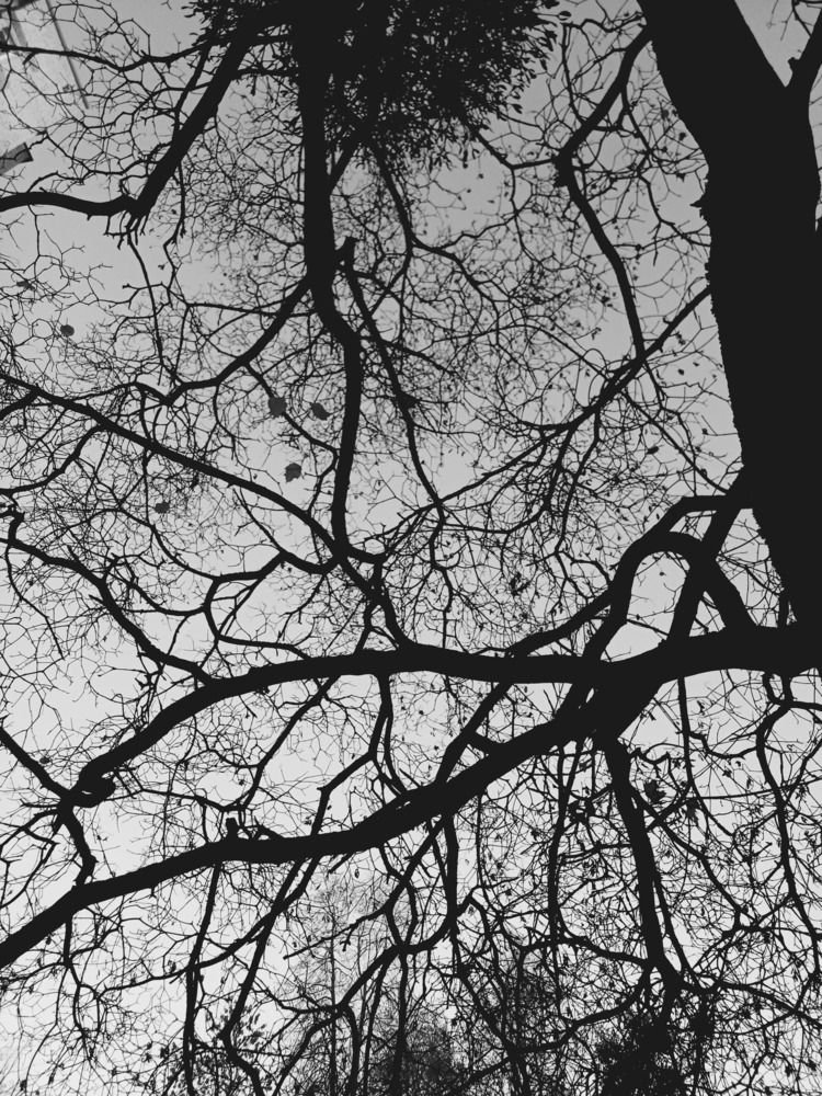 Photograph by Anna Grinkevich