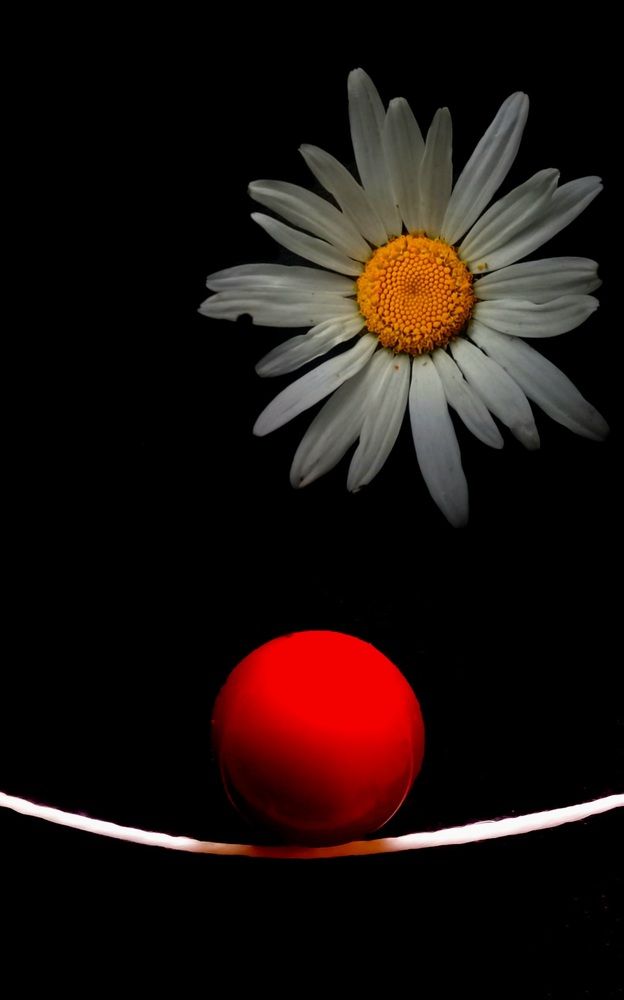 Photograph by Roberto Hagemann