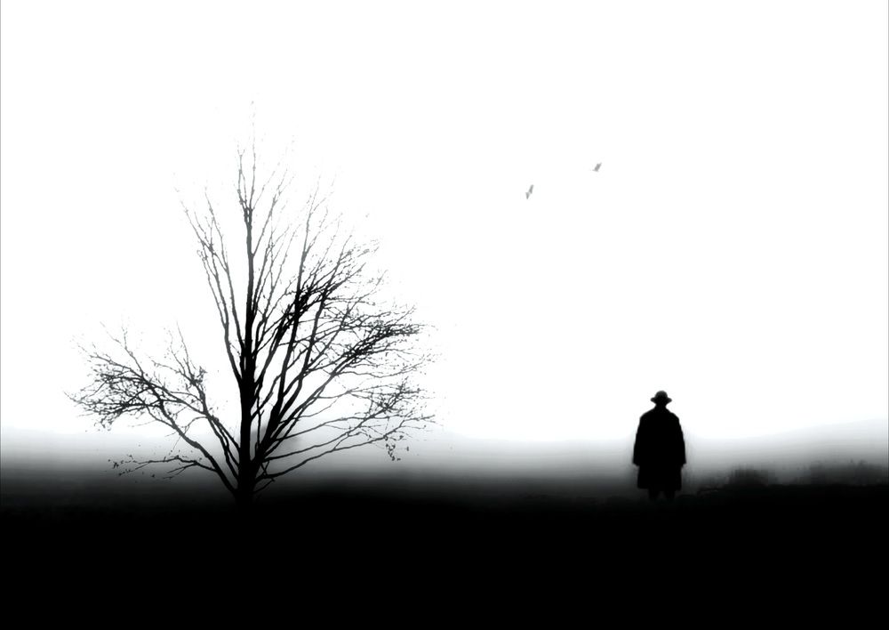 Фотография автора Mahmoudreza Shahbazian