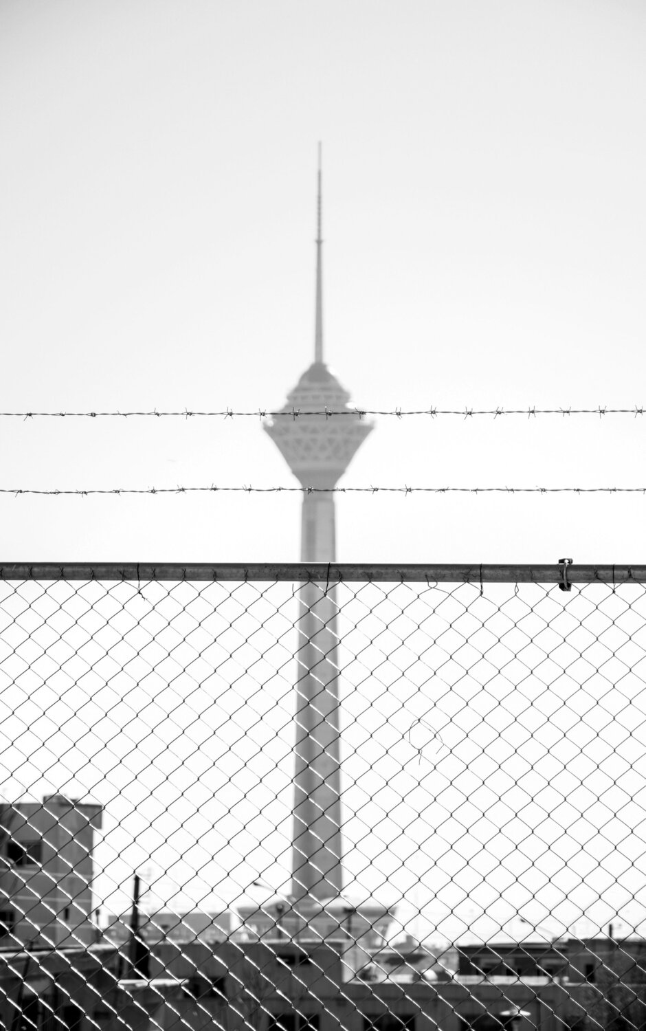 Photo #12940379