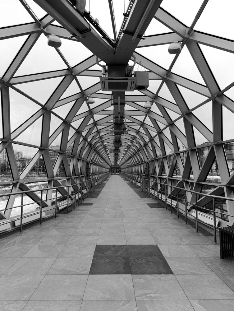 Photograph by Елена Шишкина