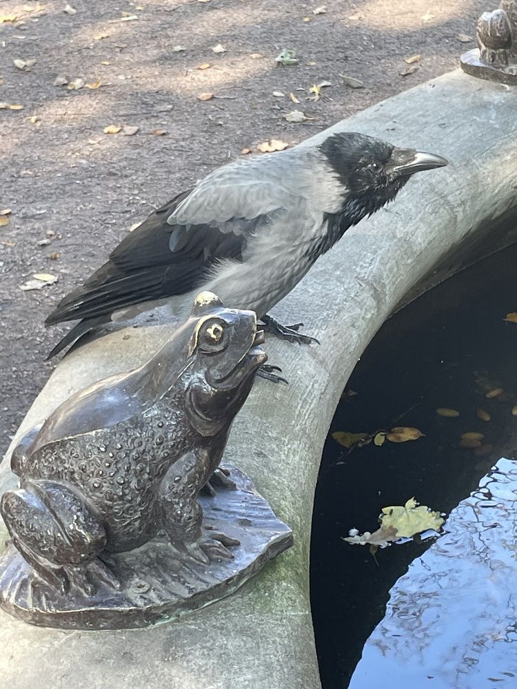 Photograph by Марина Максимова