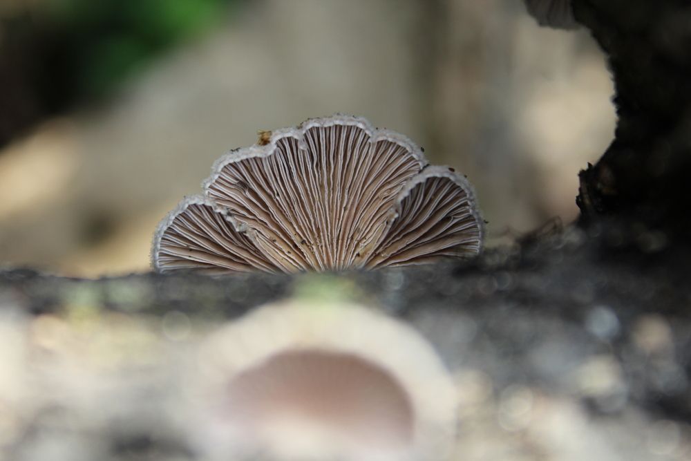 Photograph by Юлия