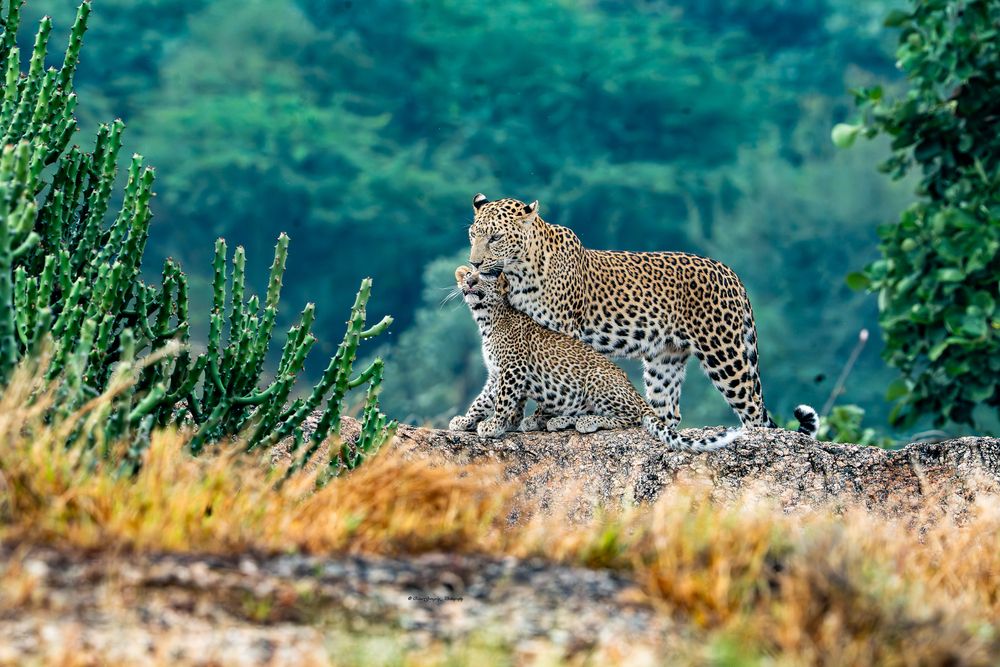 Photograph by Rina Ganguly