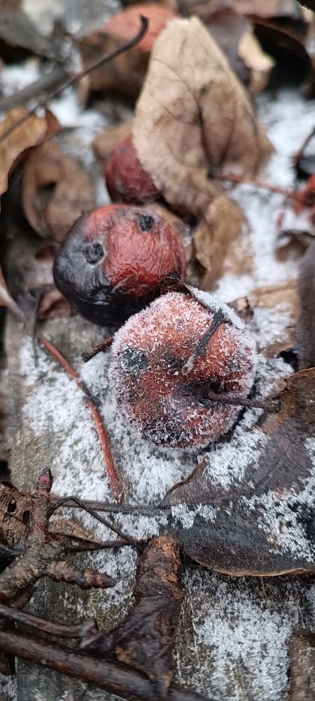 Photograph by Елена Калинина