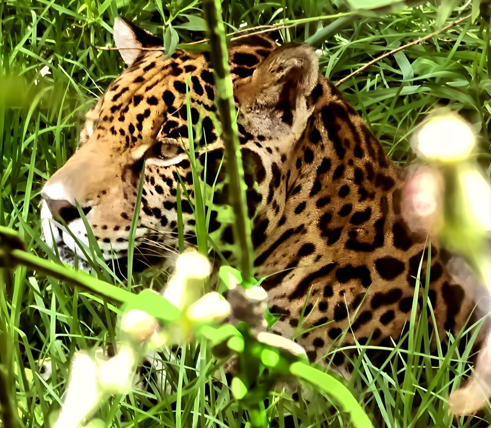 Photograph by Fernanda Lazcano