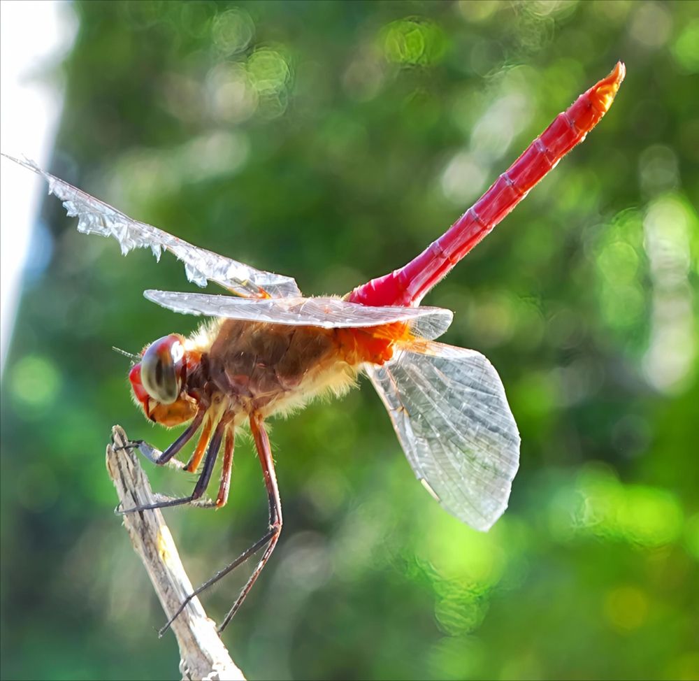 Photograph by Fernanda Lazcano