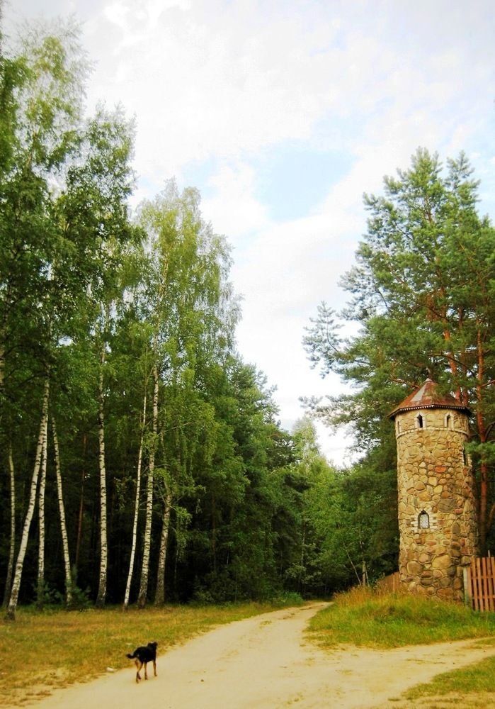 Две дороги, два пути...