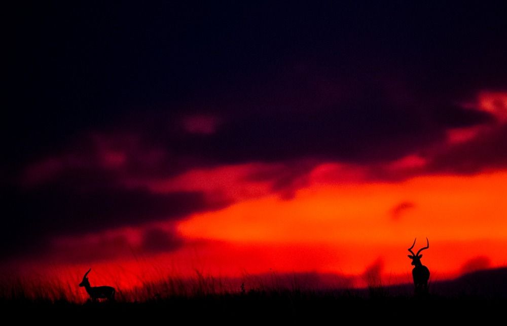 Photograph by AmanPreet kaur saluja