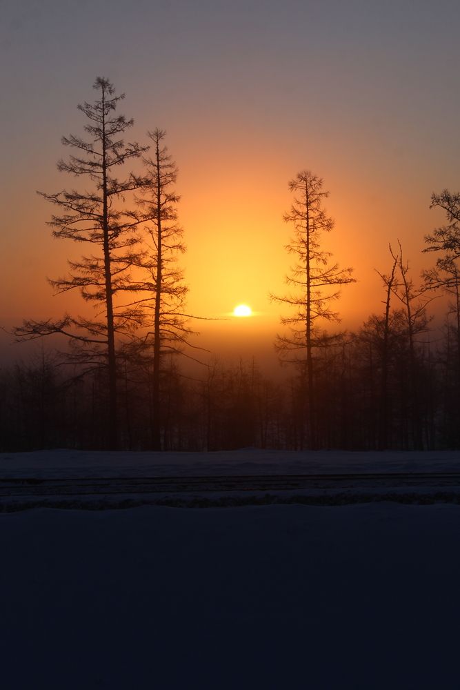 Photograph by Михаил Мархинин