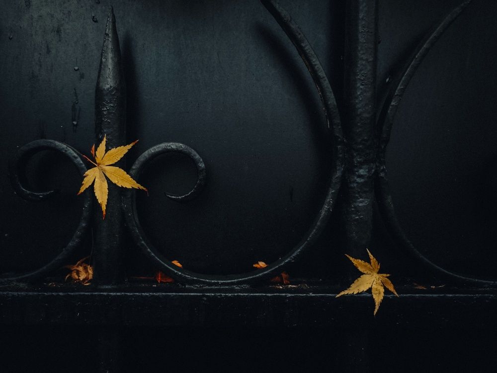 Photograph by Александра Шилова