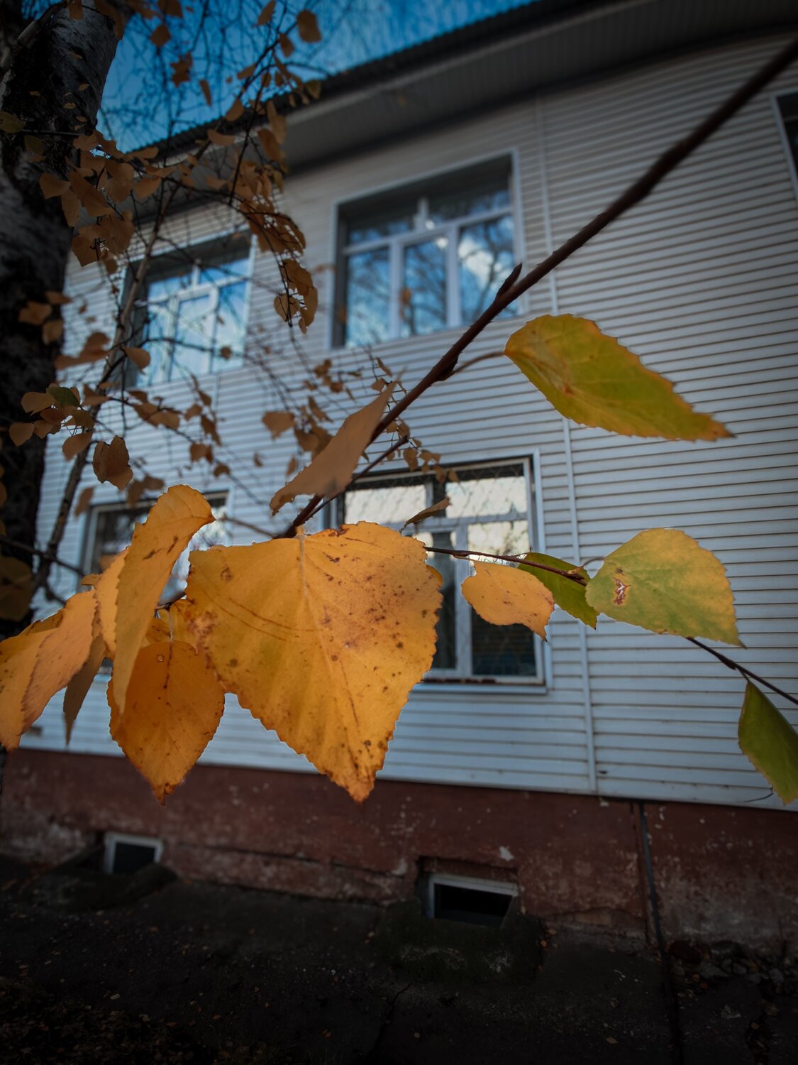 Photo #12941007