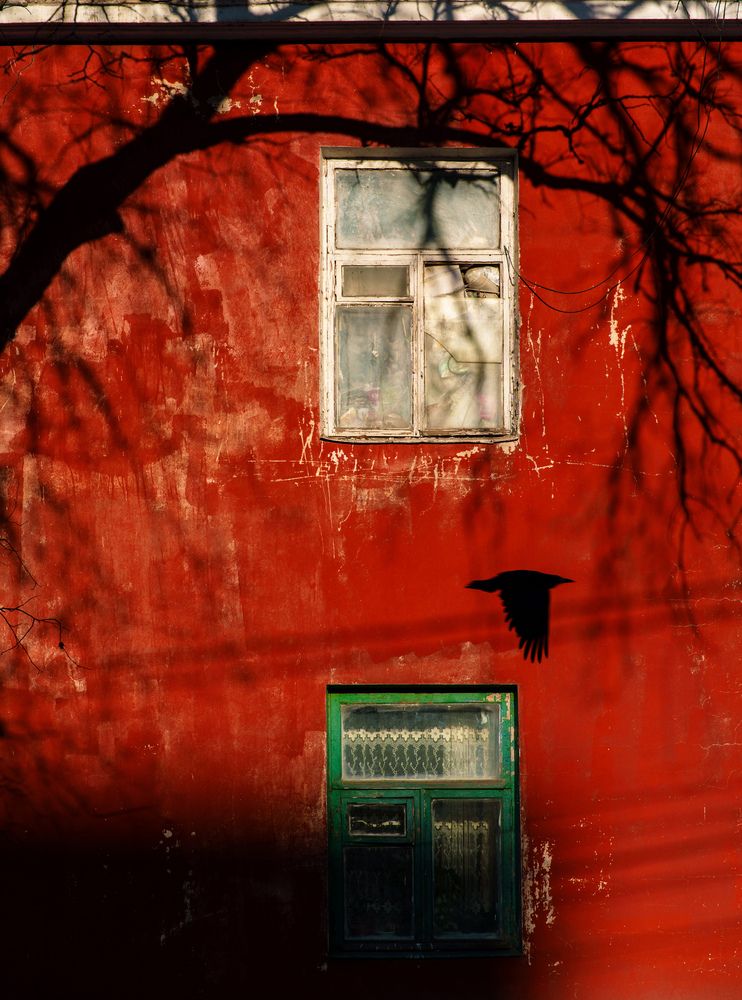 Photograph by Вертиков Юрий