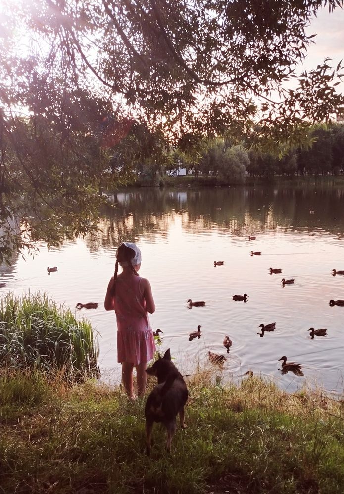 Photo #12941014