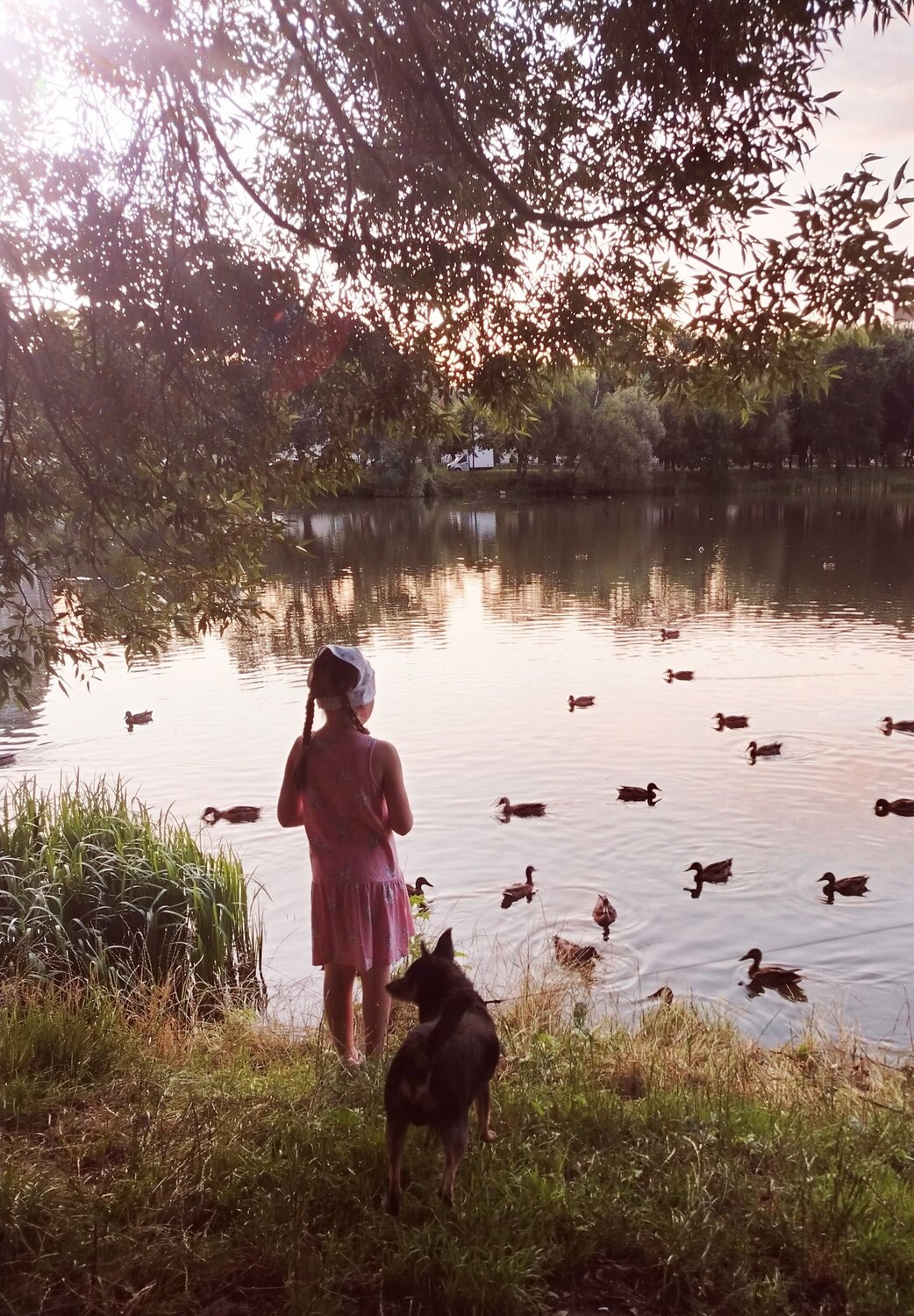 Photo #12941014