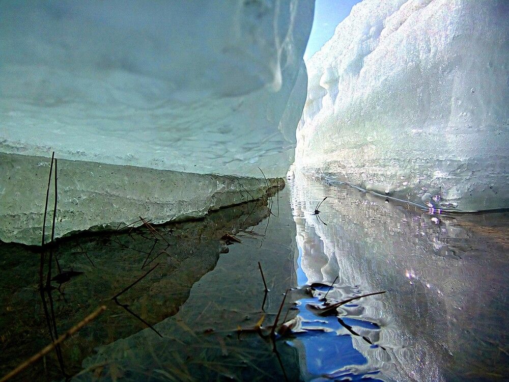 Photograph by Александр Прядко