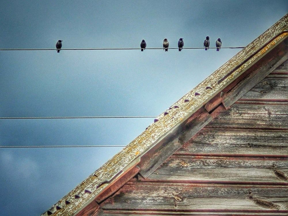 Photograph by Сергей Назаредский