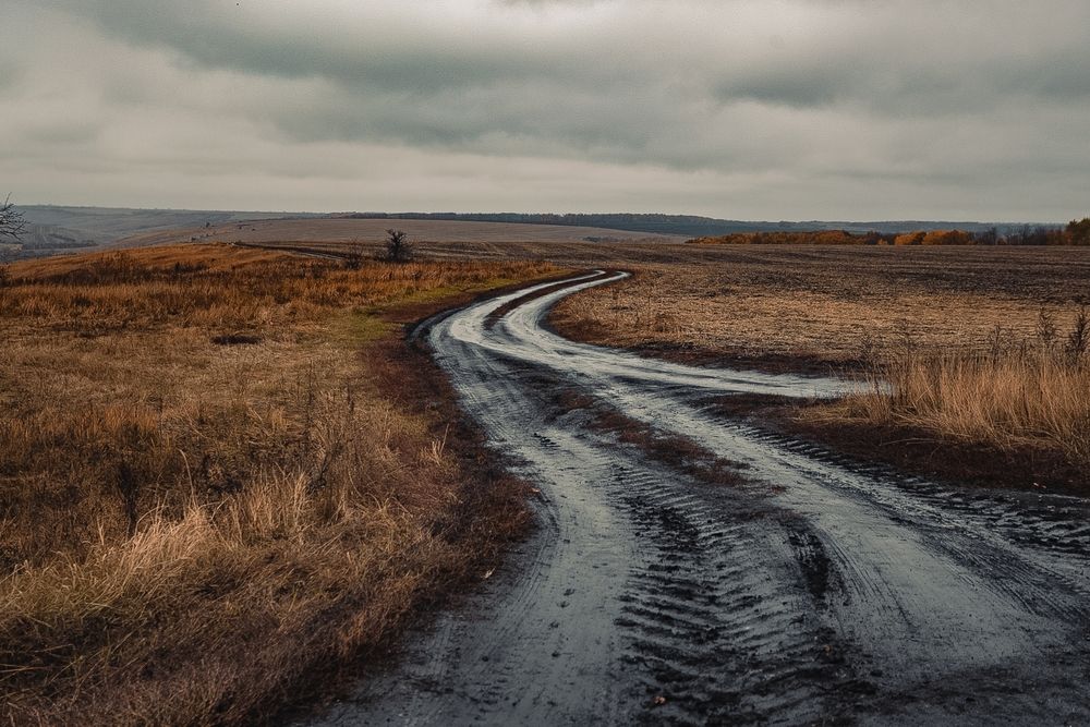 Фотография автора Elena Chilikina