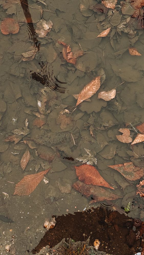 Photograph by Алеся Гурьянова
