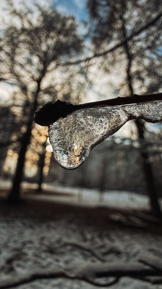 Photograph by Алеся Гурьянова