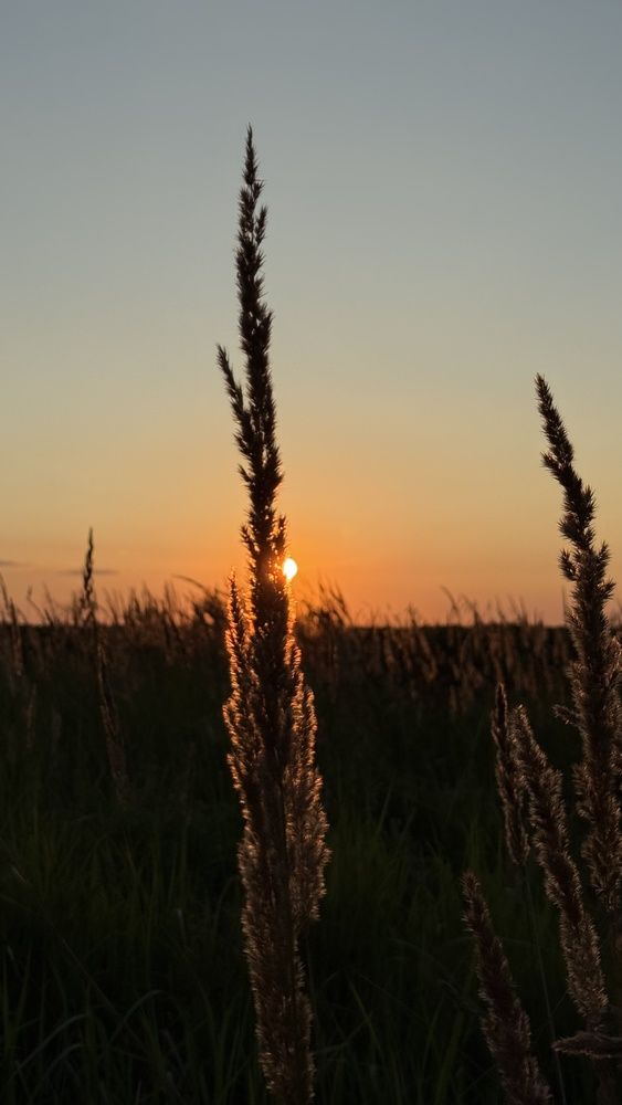 Photograph by Алеся Гурьянова