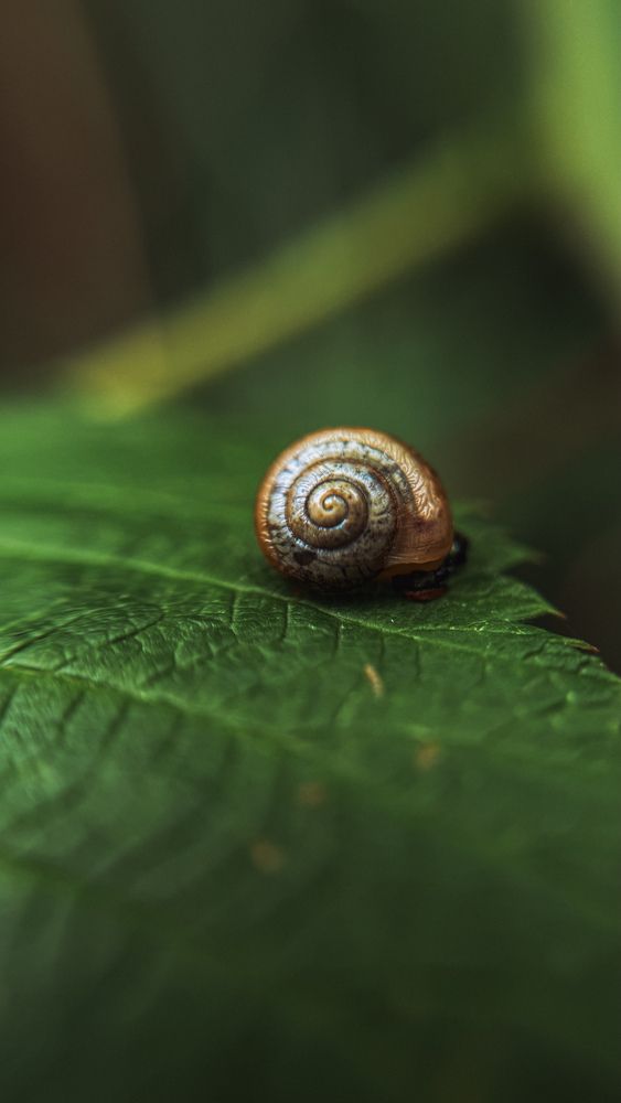 Photograph by Алеся Гурьянова