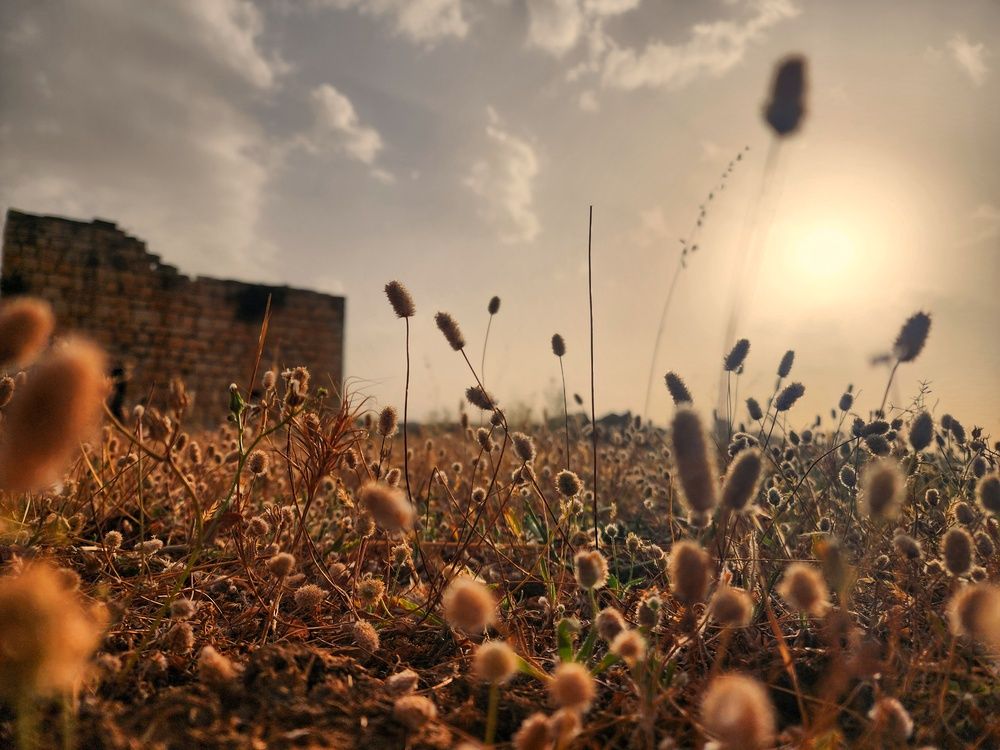 Photograph by Abdallah Khader