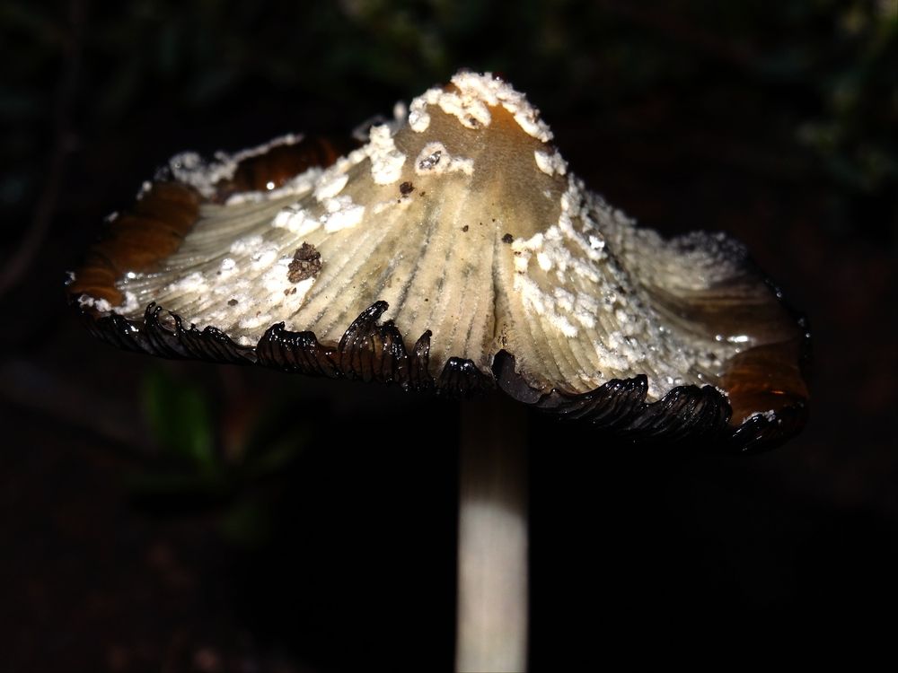 Photograph by Дмитрий Рыбалко