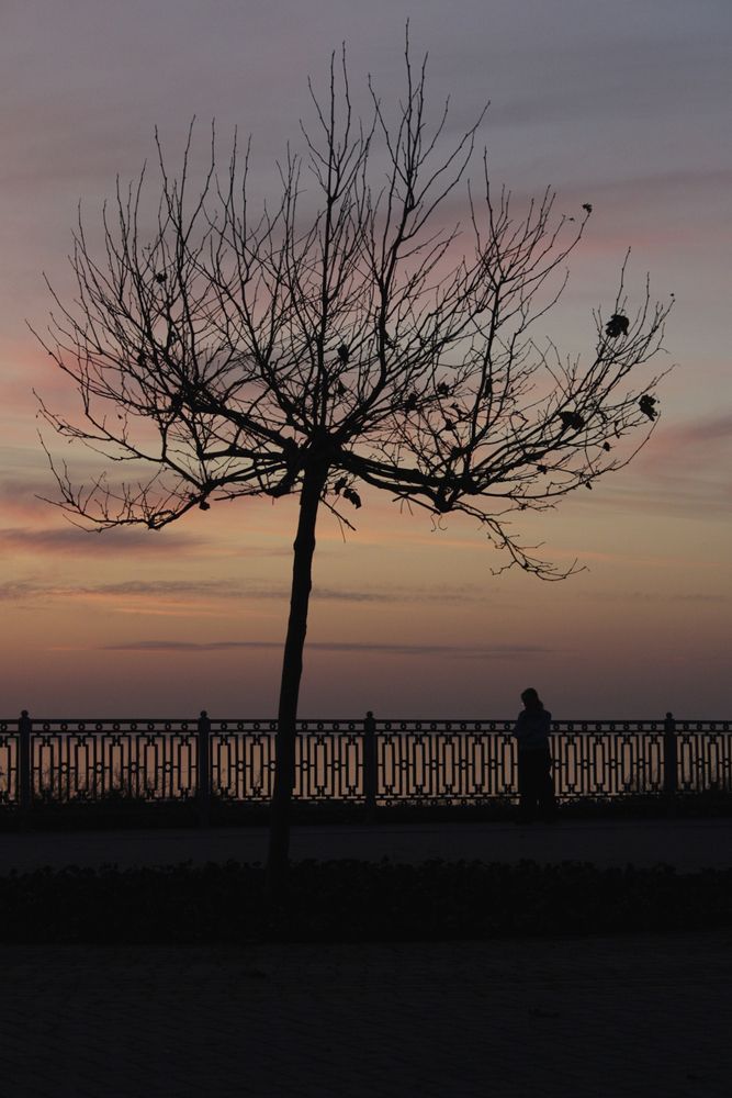 Photograph by Татьяна Смирнова