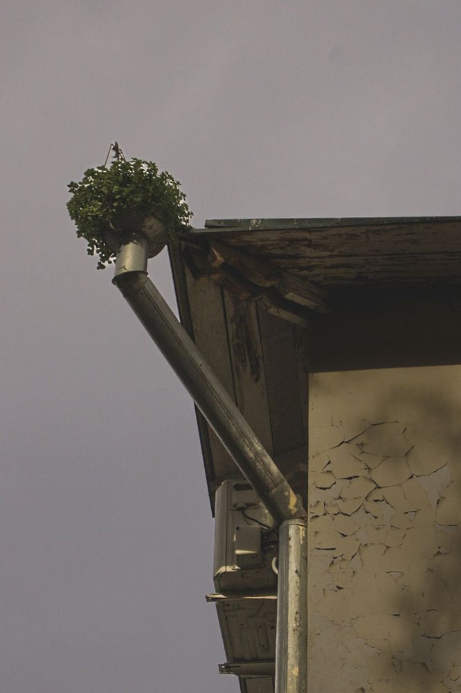 Photograph by Татьяна Смирнова