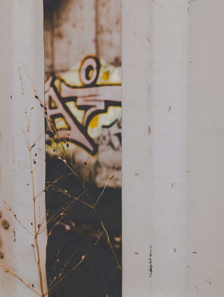 Photograph by Татьяна Смирнова